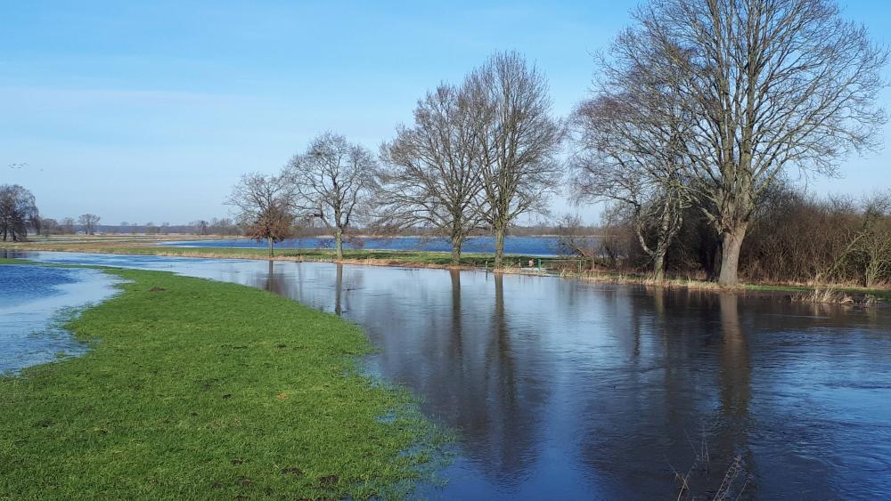 Überflutete Wümmewiesen